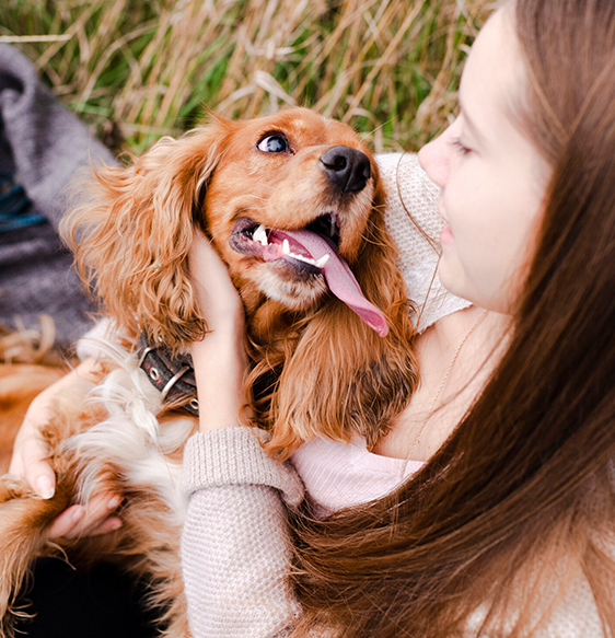 You are in the right place