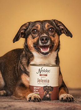 Demon, Zadra i Zmora