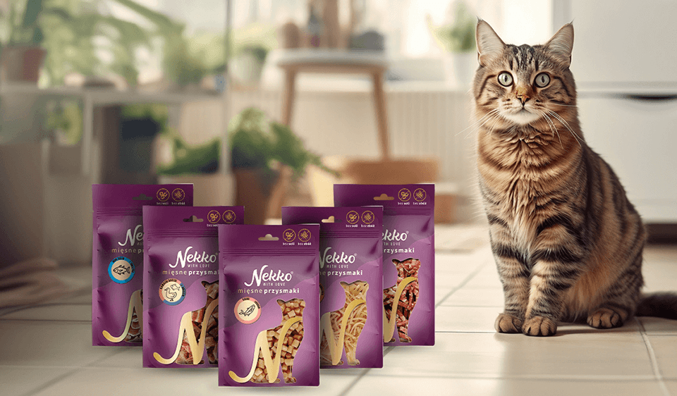Meat Treats for Cats