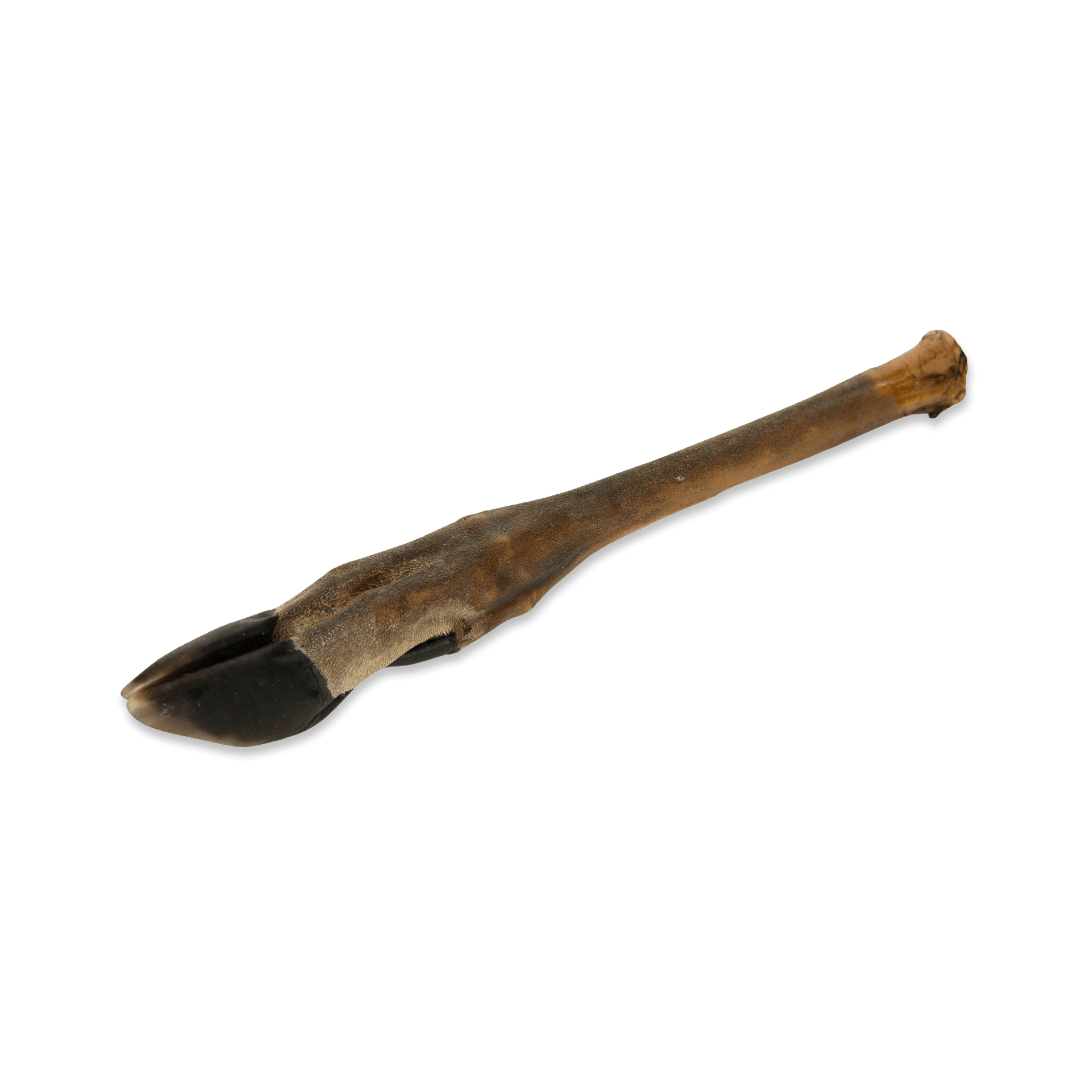 NEKKO NATURAL SNACK – ROE DEER LEG