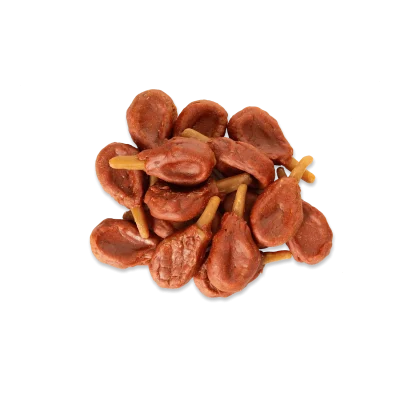 NEKKO DOG SNACKS – DUCK WITH DENTAL DRUMSTICK 500 g