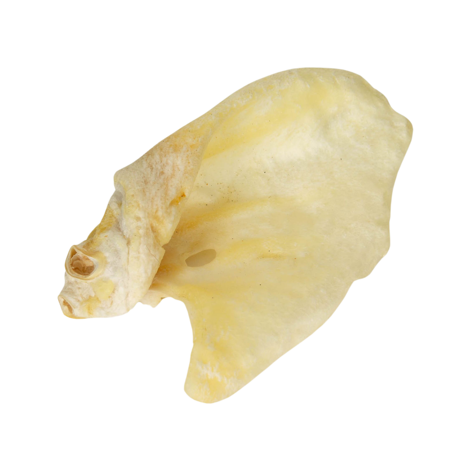 NEKKO NATURAL SNACK – WHITE PIG EAR
